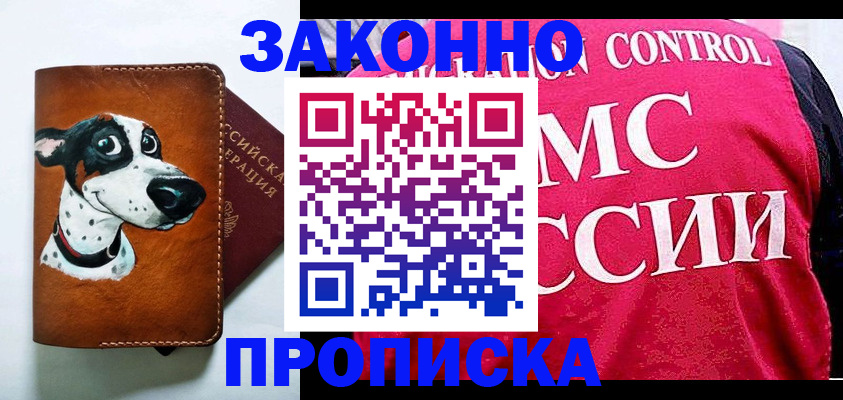 прописка 2025 в Электрогорске